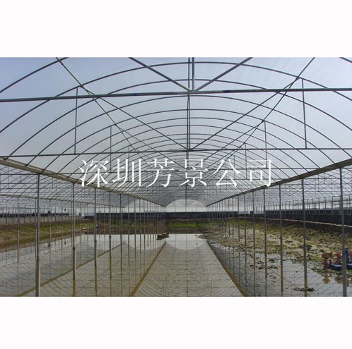 水����L��大棚